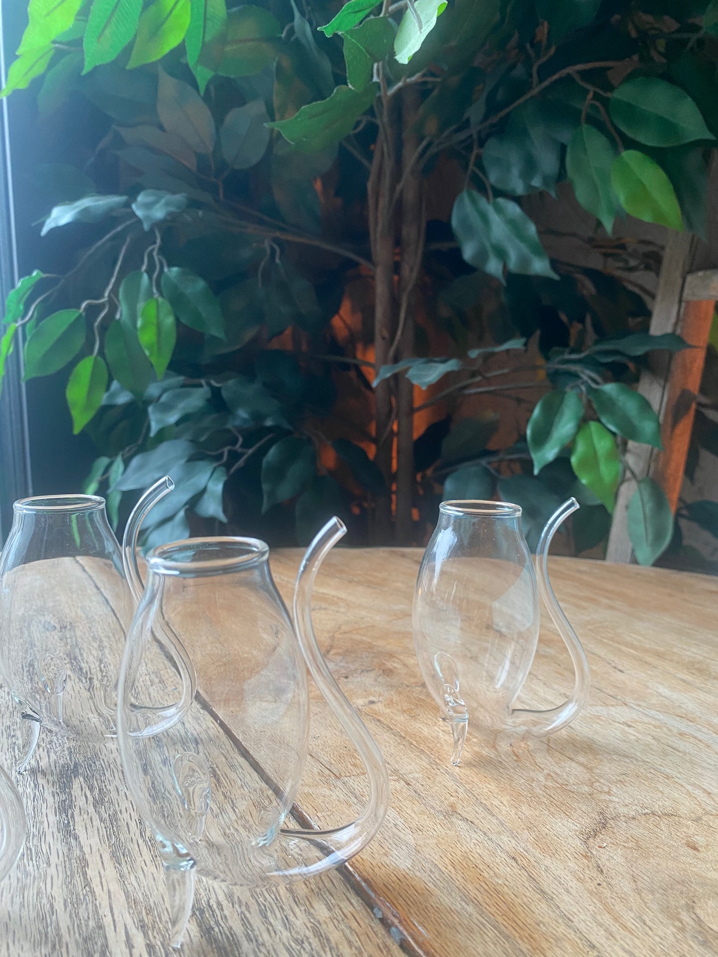 Hand-Blown Glass Port Sipper set of 4