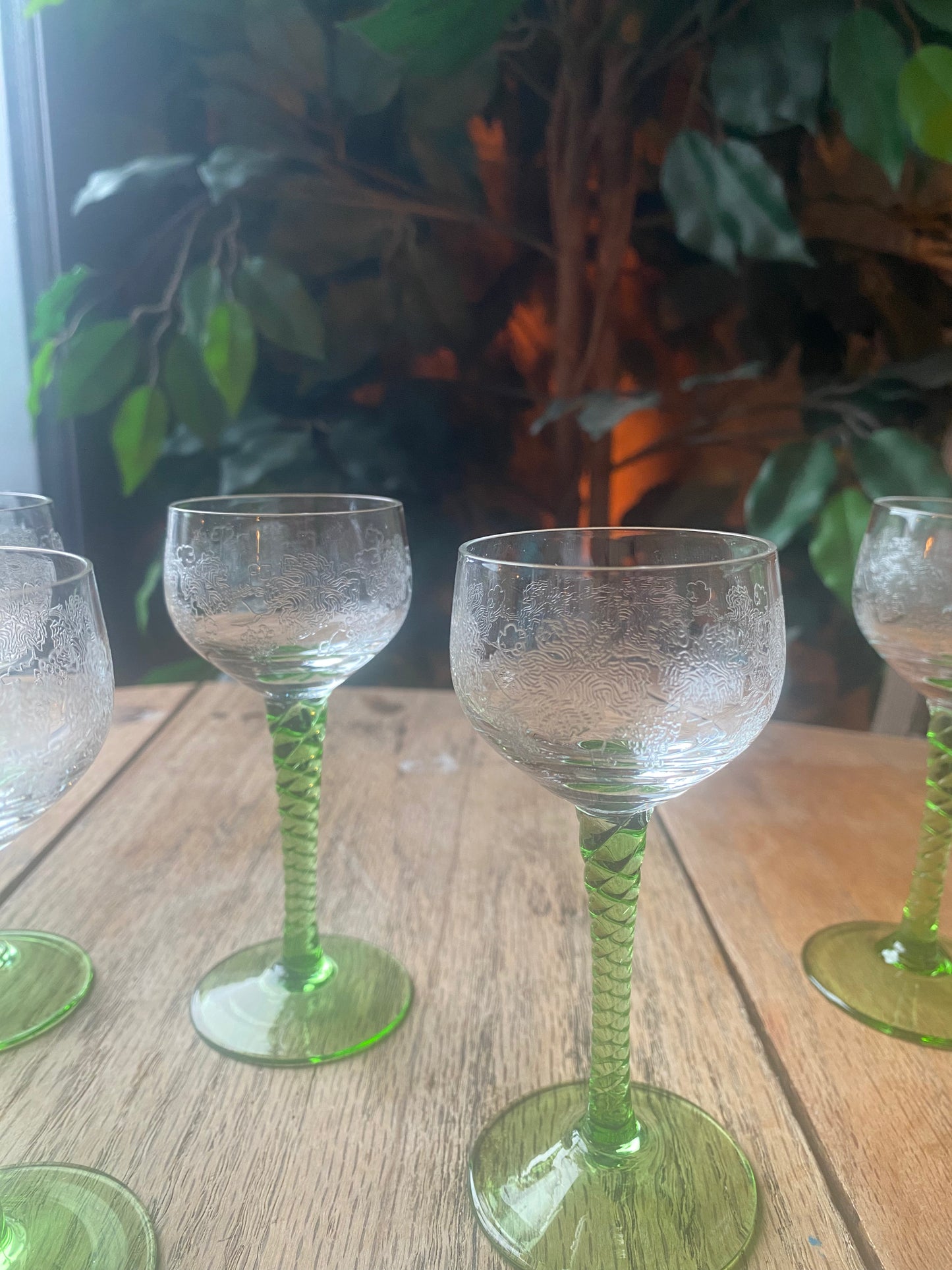 1960s Vintage Bohemian liquor Glass set of 5
