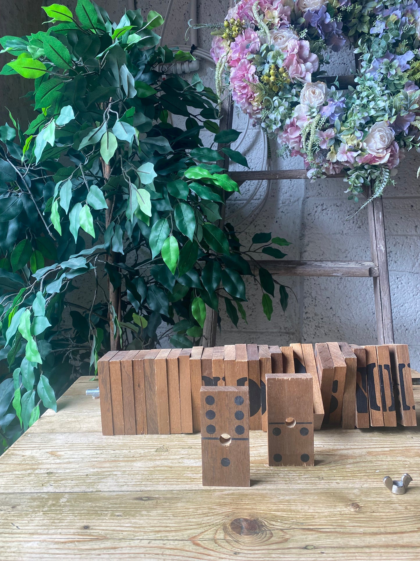 Wooden dominoes