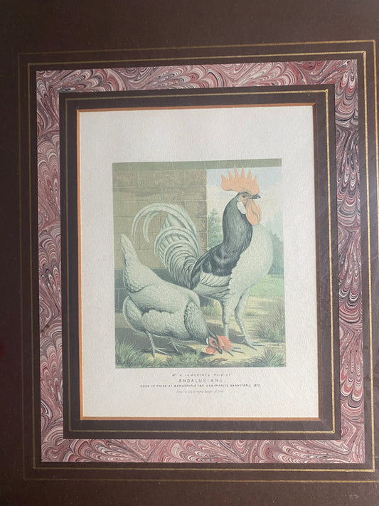 Antique  print of hen and rooster 1872