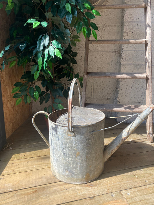 Vintage galvanised watering can