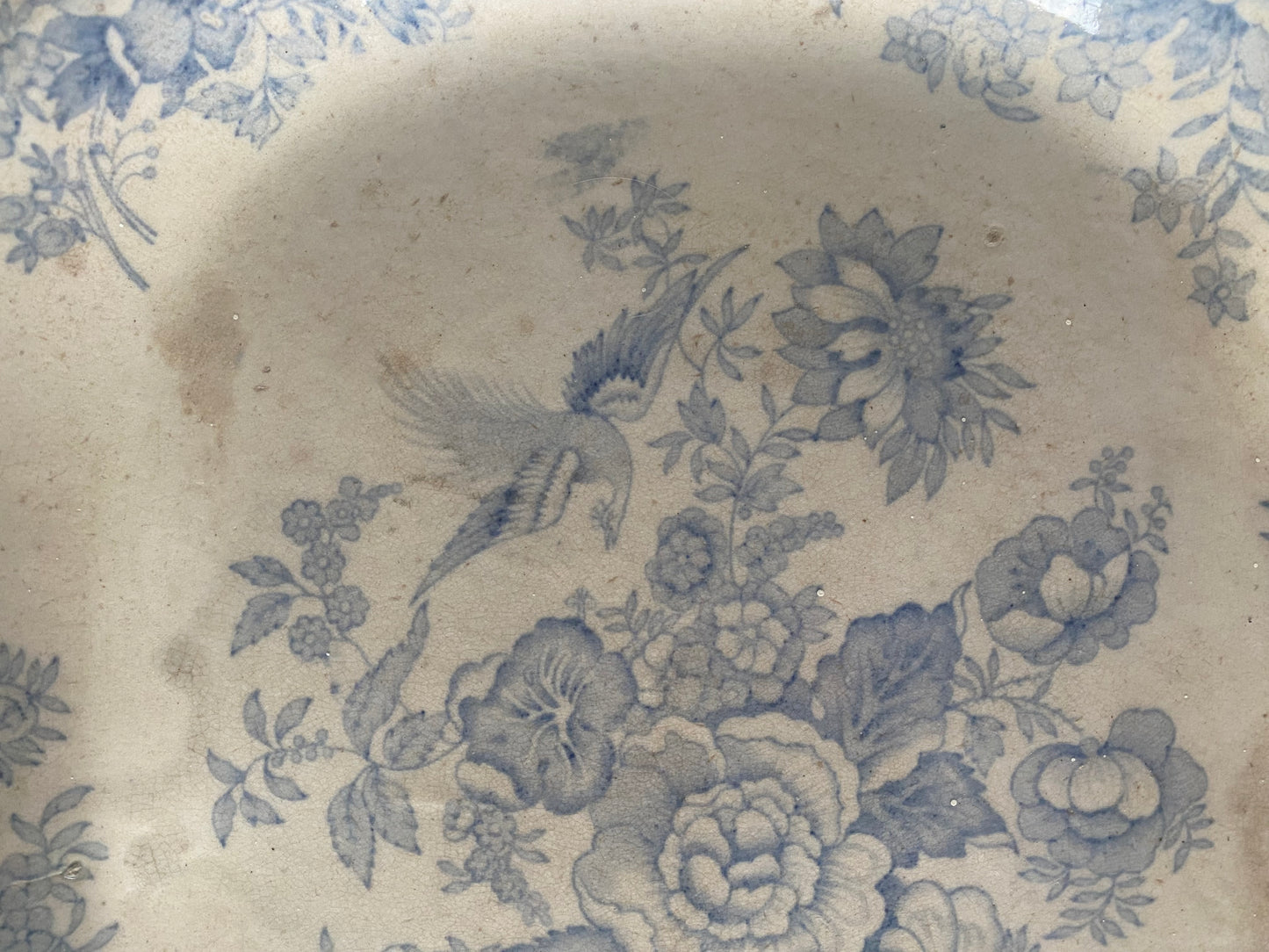 Antique platter with asiatic pheasant pattern