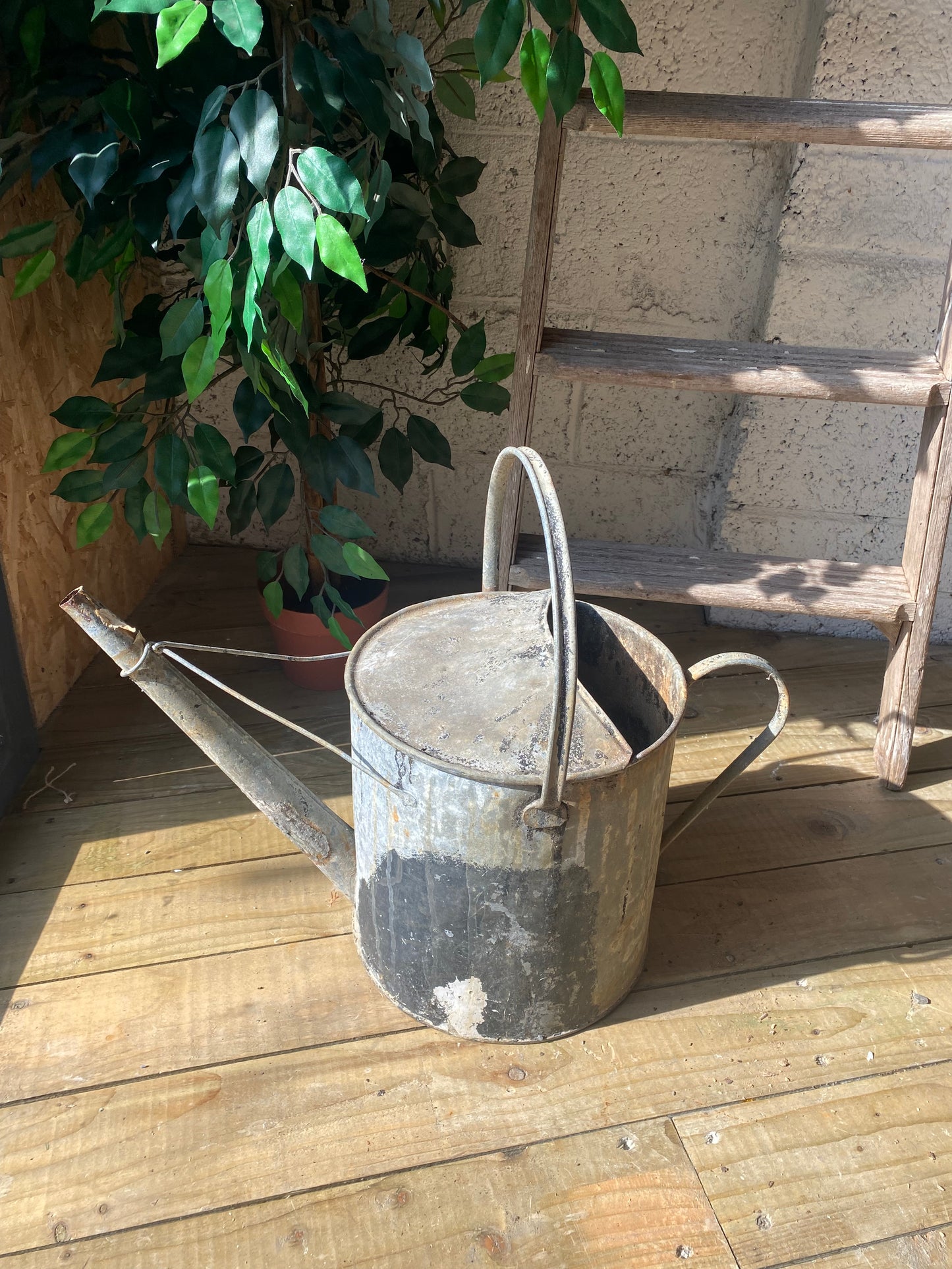 Vintage galvanised watering can