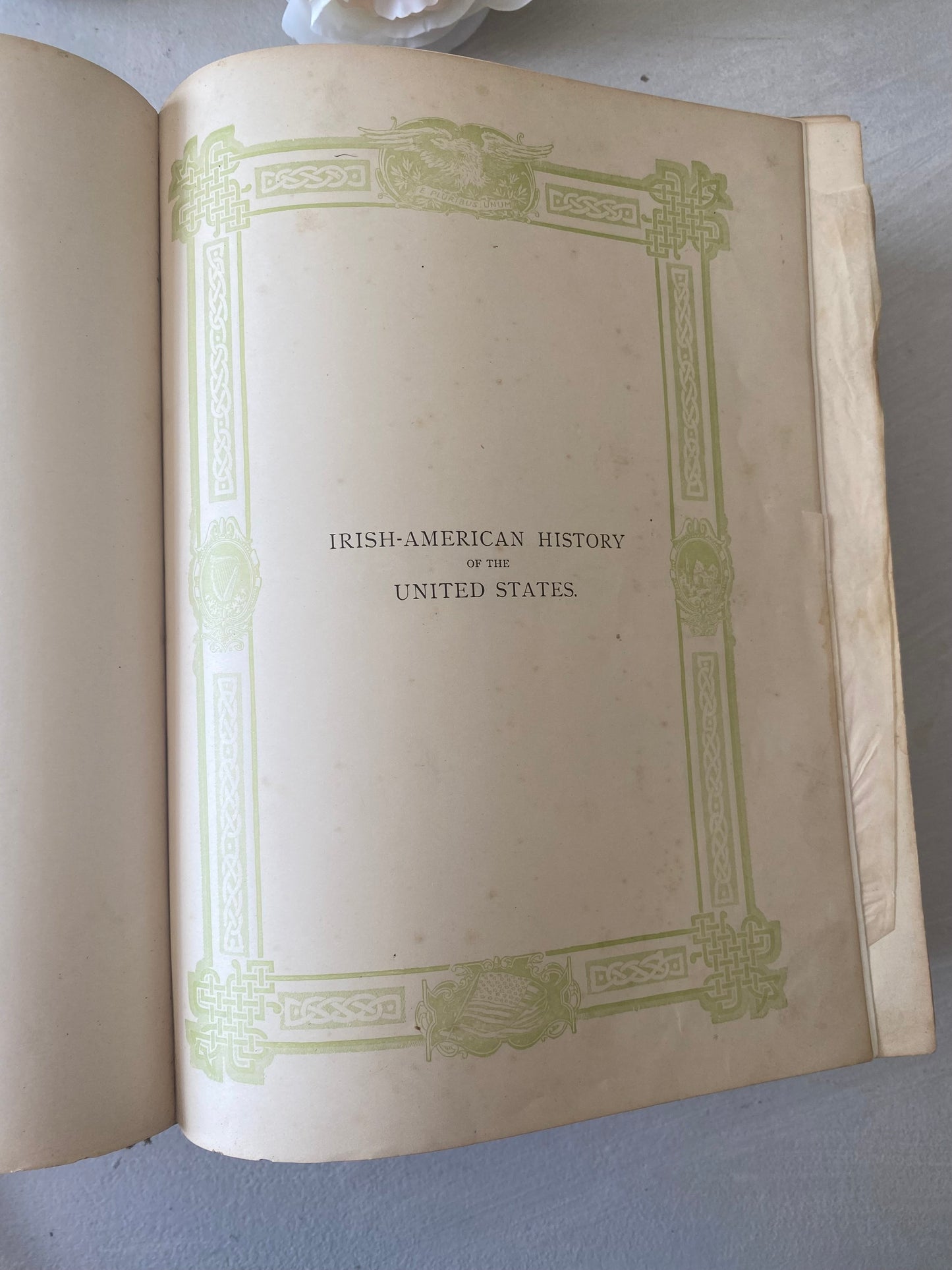 Irish-American history of the United States by; Rev.john Ganon O’Hanlon