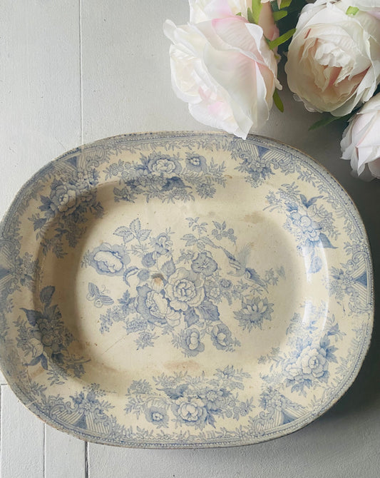 Antique platter with asiatic pheasant pattern