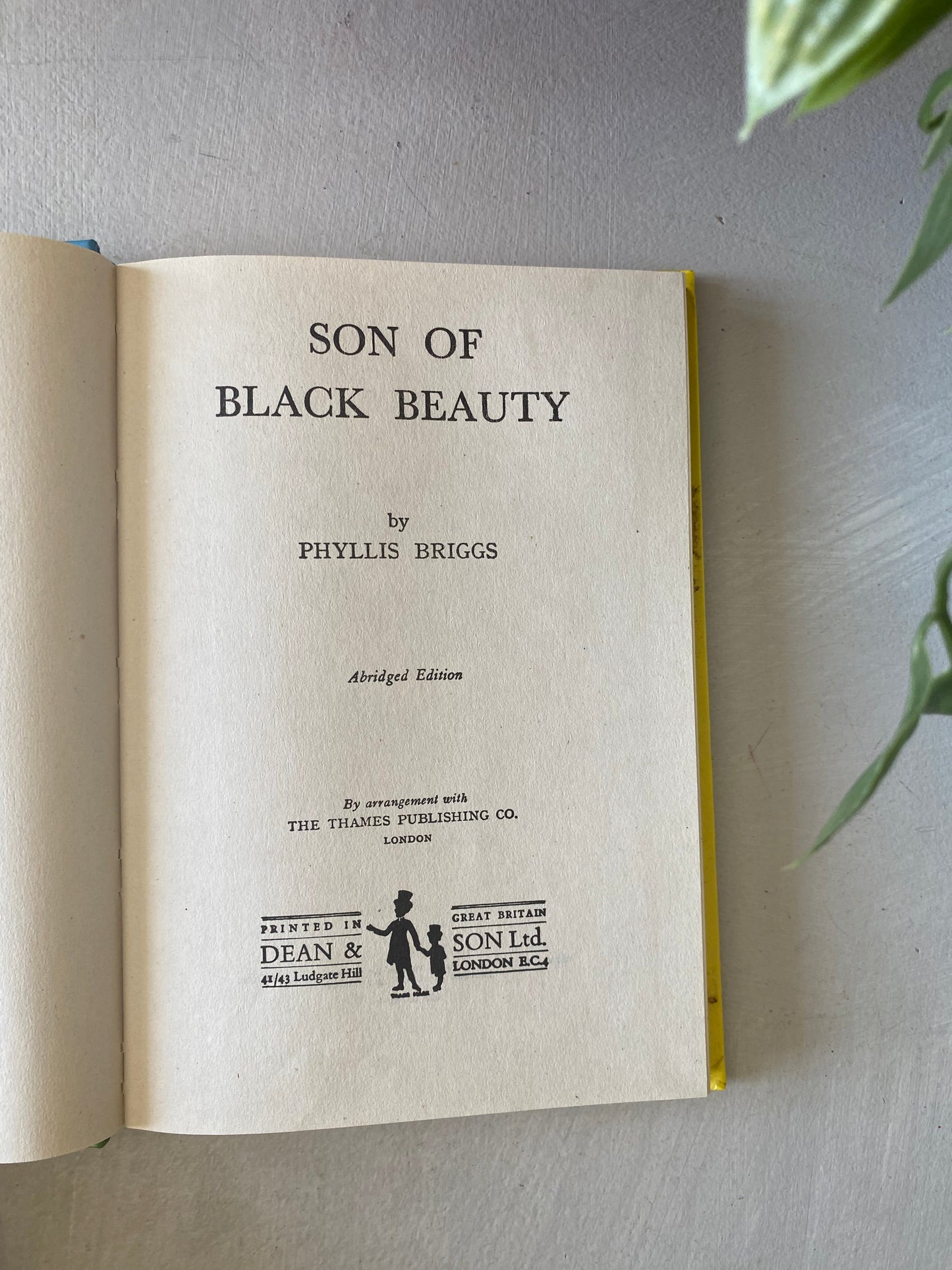 Son of Black Beauty by; Phyllis Briggs 1950