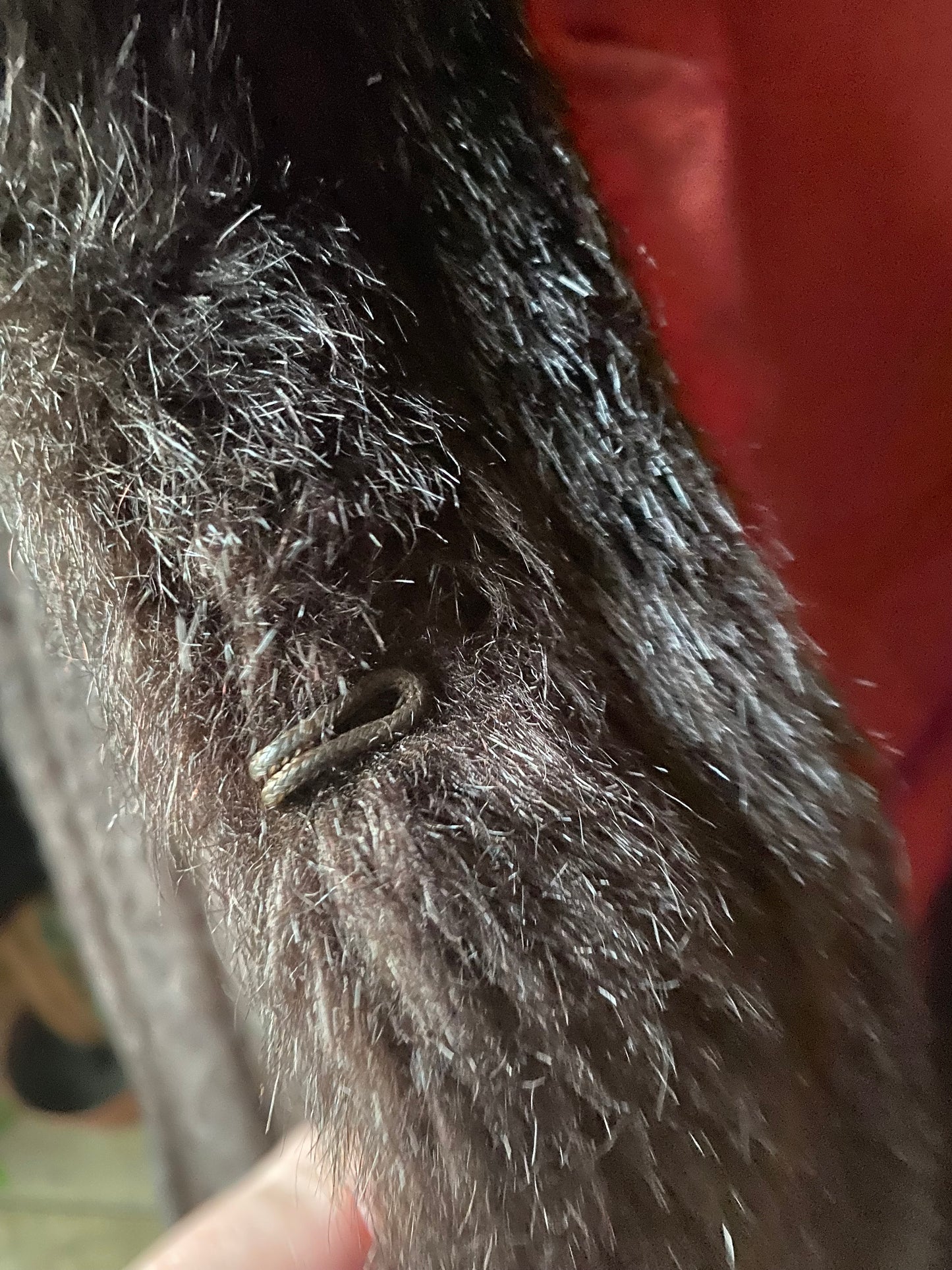 Vintage Bickley faux fur coat