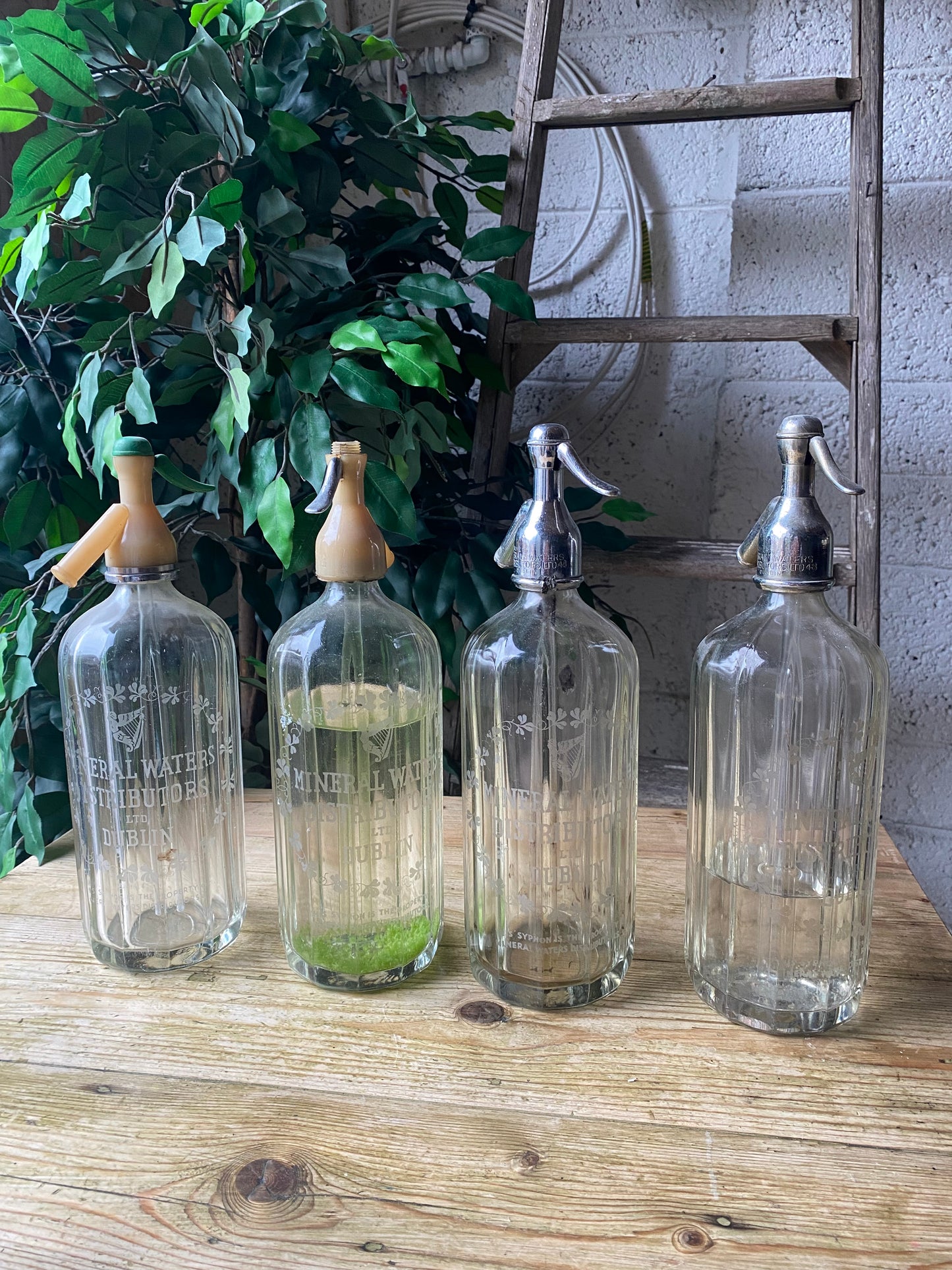 Vintage soda syphon bottles Dublin -single bottle