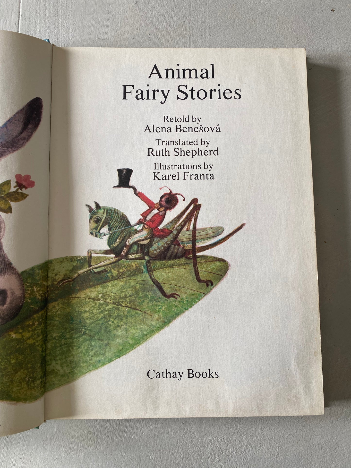 Animal Fairy Stories by; Alena Benesovā