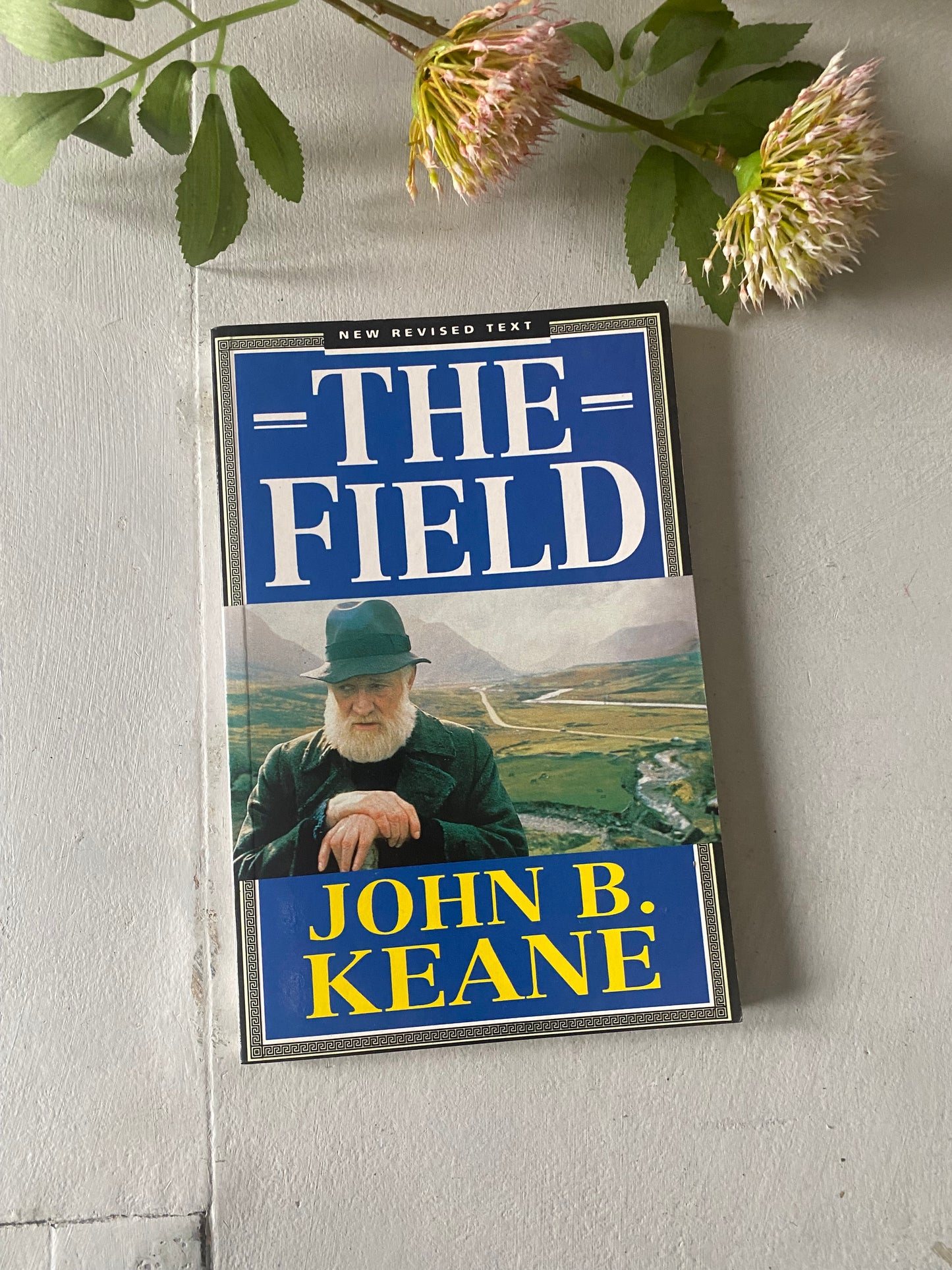 The Field by; John B. Keane