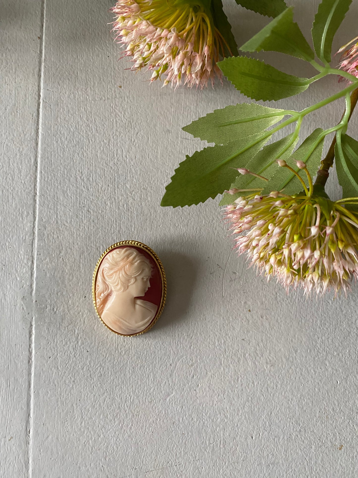 Cameo vintage brooch