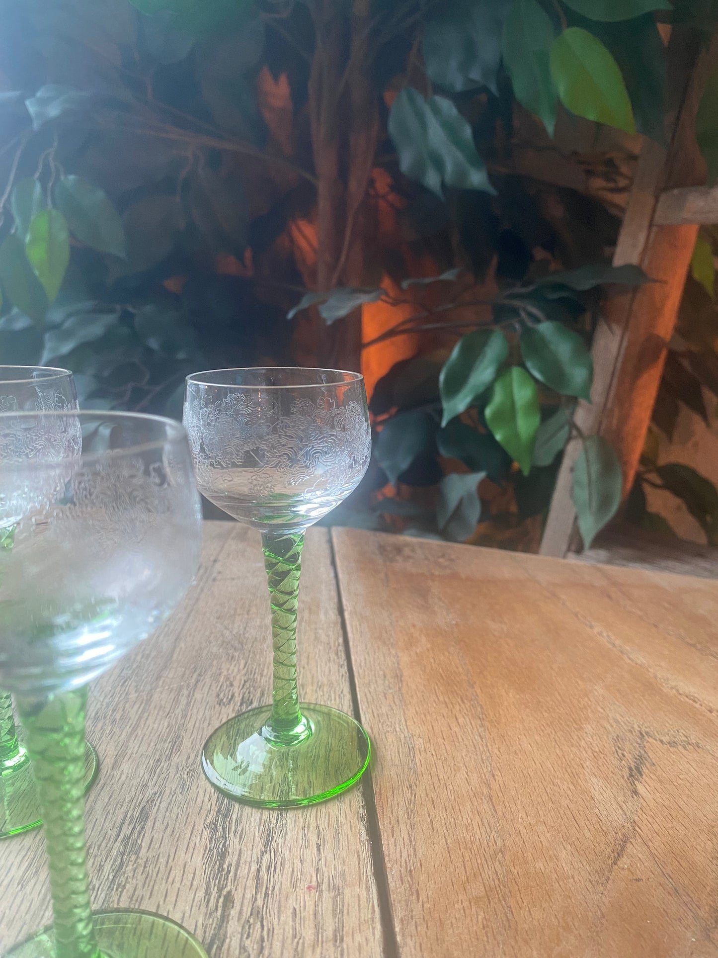 1960s Vintage Bohemian liquor Glass set of 5